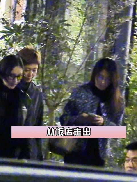 李冰冰、王子文、何润东等聚餐热聊,饭后一起出门挥手告别