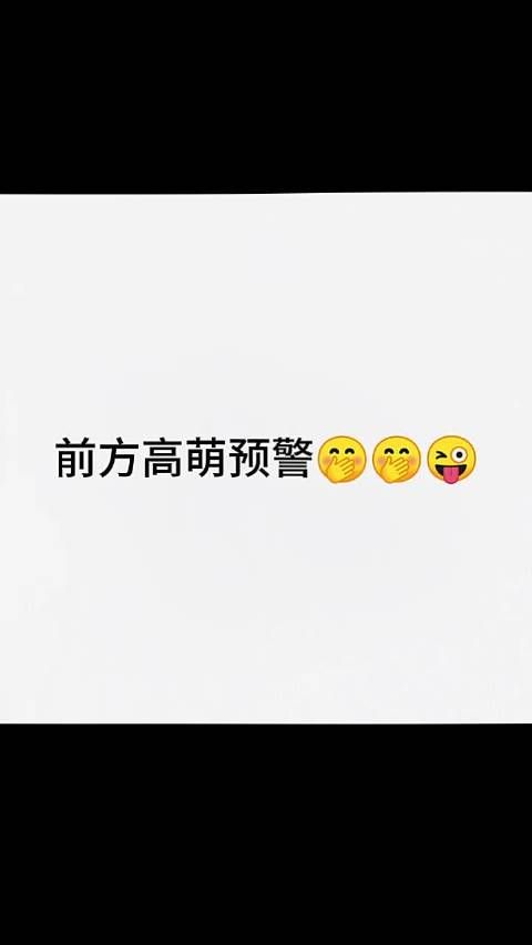 萌萌的张凌赫喜欢你