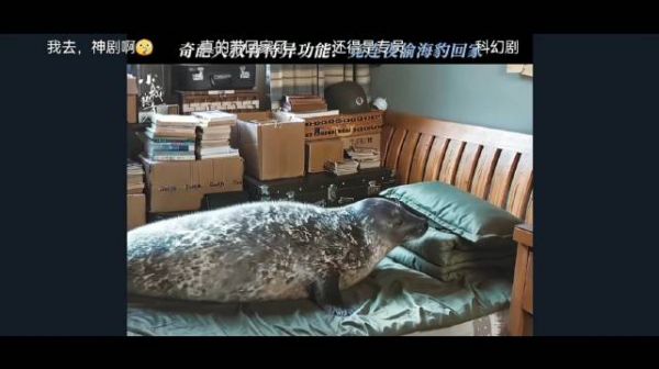 睡一晚上,老爸变成海豹了… 大无语, 这不是惊喜,是惊吓