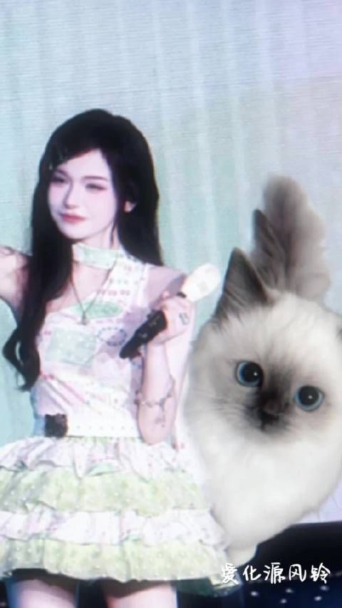 fmjj封茗囧菌 fmjj封茗囧菌超话 武魂真身 封茗囧菌