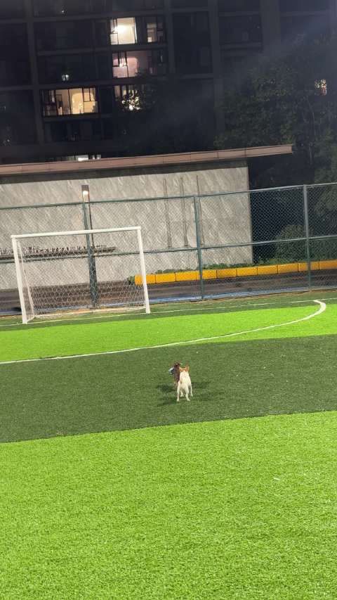 朴朴买4斤果肉蛮多 幸运之子宅家看等了一周的剧